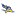 California State University Bakersfield Weather